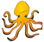 Octopus