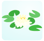 Water Lily Stencil