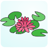 Water Lily
