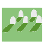 Graves