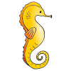Jump+like+a+Seahorse Picture