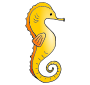 Seahorse Picture