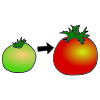 Ripen