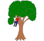 Climb a Tree  Picture