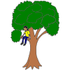 Climb a Tree Picture