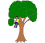 Climb a Tree  Picture
