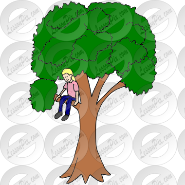 Climb a Tree  Picture