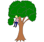 Climb a Tree  Picture