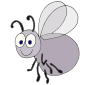 Fly