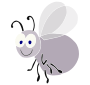 Fly