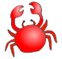Crab Picture