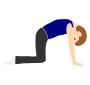 Cat Pose