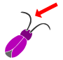 Antennae  Stencil
