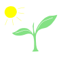 Photosynthesis
