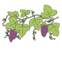 Grapevine