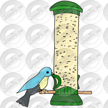 Birdfeeder