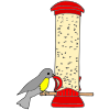 Birdfeeder Picture