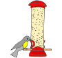 Birdfeeder Picture