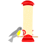 Birdfeeder