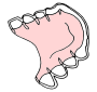 Retainer