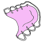 Retainer
