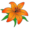 Lily