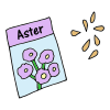 Aster+Seeds Picture