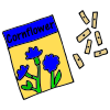 Cornflower Seeds Picture