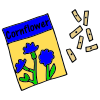 Cornflower Seeds
