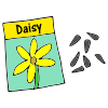 Daisy+Seeds Picture