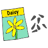 Daisy Seeds Picture