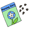 Morning+Glory+Seeds Picture