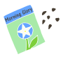 Morning Glory Seeds