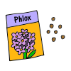 Phlox Seeds