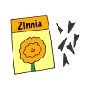 Zinnia Seeds