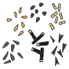 Seeds