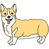 Corgi Picture