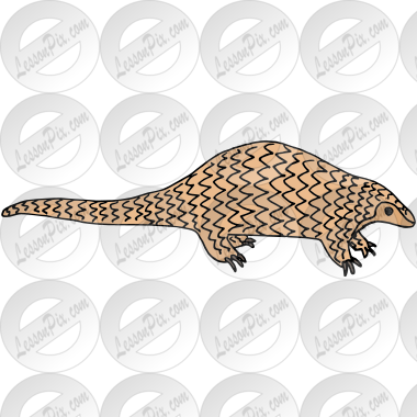 Pangolin Picture