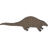 Pangolin Picture