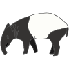 Tapir Picture