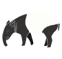 Tapir  Stencil