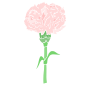 Carnation Stencil