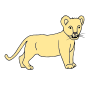 Cub