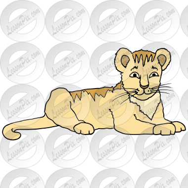Cub