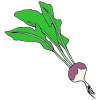 Rutabaga