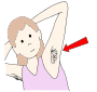 Armpit Hair