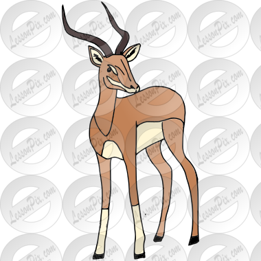 Gazelle