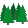 Trees