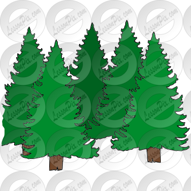 Trees