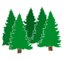 Trees
